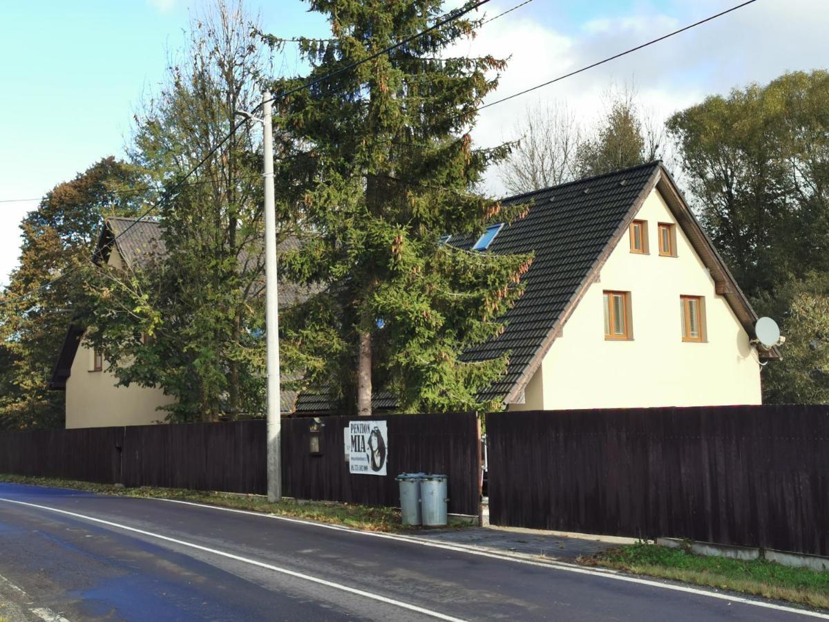 Penzion Mia Dolni Moravice Exterior photo